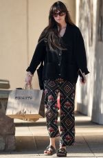 DAKOTA JOHNSON Out Shopping at a Local Mall in Malibu 03/04/2024
