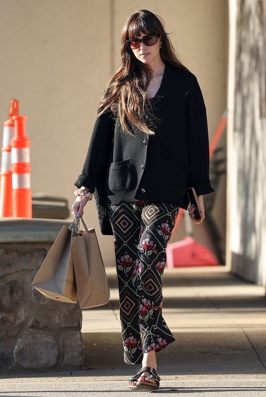 DAKOTA JOHNSON Out Shopping at a Local Mall in Malibu 03/04/2024
