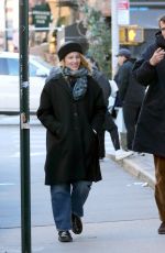 DIANNA AGRON and Harold Ancart Out in New York 02/18/2024
