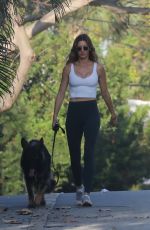 GISELE BUNDCHEN Out for a Dog Walk in Miami 03/16/2024