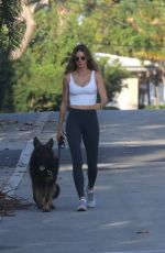 GISELE BUNDCHEN Out for a Dog Walk in Miami 03/16/2024