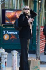 GWENDOLIN CHRISTIE Out for Grocery Shopping in New York 03/25/2024