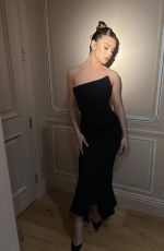 HAILEE STEINFELD - CAA Pre-oscar Party Photoshoot, March 2024