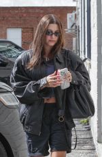HAILEY BIEBER Heading to a Business Meeting in Los Angeles 03/08/2024