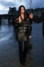 HYE IN at Louis Vuitton Womenswear FW24-25 Fashion Show at Paris Fashion Week 03/05/2024