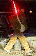 JESSIE J and Chanan Colman Out for Dinner in Los Angeles 03/28/2024