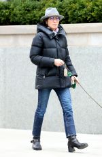 JULIANNA MARGUILES Out with Her Dog in New York 03/20/2024