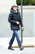JULIANNA MARGUILES Out with Her Dog in New York 03/20/2024