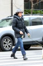 JULIANNA MARGUILES Out with Her Dog in New York 03/20/2024