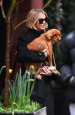 JULIANNE HOUGH Out with Her Dog for Brunch in New York 03/23/2024
