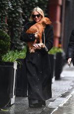 JULIANNE HOUGH Out with Her Dog for Brunch in New York 03/23/2024