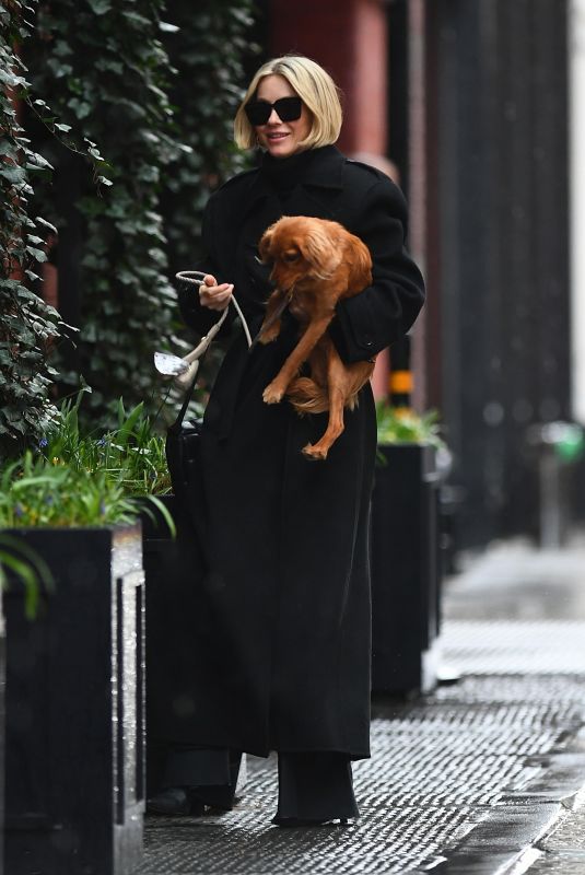 JULIANNE HOUGH Out with Her Dog for Brunch in New York 03/23/2024