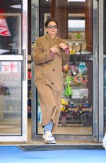 KATIE HOLMES Takes Her Cat to Vet in New York 03/07/2024