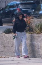 LARSA PIPPEN Out with Her Dog 03/25/2024