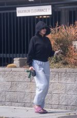 LARSA PIPPEN Out with Her Dog 03/25/2024