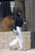 LARSA PIPPEN Out with Her Dog 03/25/2024