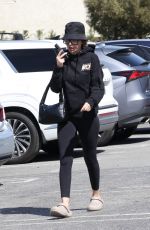 LISA RINNA Out Shopping in Studio City 03/29/2024