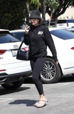 LISA RINNA Out Shopping in Studio City 03/29/2024