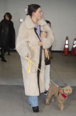 MILLIE BOBBY BROWN Out with Her Dog in New York 02/29/2024