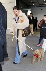 MILLIE BOBBY BROWN Out with Her Dog in New York 02/29/2024