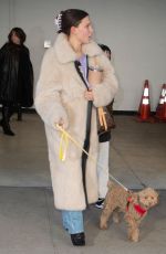 MILLIE BOBBY BROWN Out with Her Dog in New York 02/29/2024