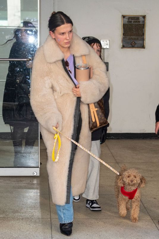 MILLIE BOBBY BROWN Out with Her Dog in New York 02/29/2024