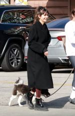 NINA DOBREV Out for Lunch with a Friend at Little Dom