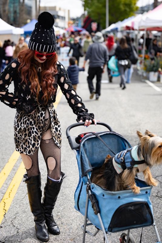 PHOEBE PRICE Takes Her Dog Out for a Sunday Stroll in Studio City 03/03/2024