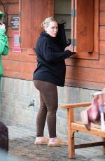 Pregnant HILARY DUFF Visiting a Vet in Los Angeles 02/12/2024