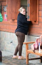 Pregnant HILARY DUFF Visiting a Vet in Los Angeles 02/12/2024