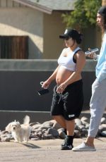Pregnant VANESSA HUDGENS Out in Scottsdale 03/25/2024