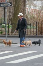 SARAH PAULSON Out with Her Dogs in New York 03/20/2024