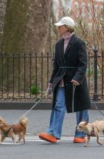 SARAH PAULSON Out with Her Dogs in New York 03/20/2024