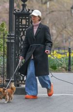 SARAH PAULSON Out with Her Dogs in New York 03/20/2024