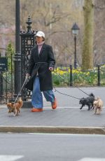 SARAH PAULSON Out with Her Dogs in New York 03/20/2024