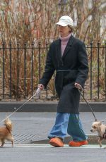 SARAH PAULSON Out with Her Dogs in New York 03/20/2024