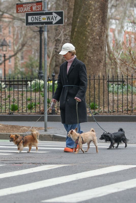 SARAH PAULSON Out with Her Dogs in New York 03/20/2024