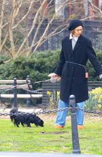 SARAH PAULSON Out with Her Dogs in New York 03/26/2024