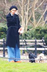 SARAH PAULSON Out with Her Dogs in New York 03/26/2024