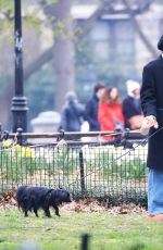 SARAH PAULSON Out with Her Dogs in New York 03/26/2024