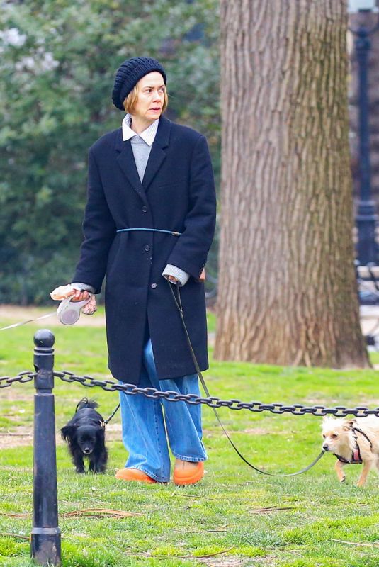 SARAH PAULSON Out with Her Dogs in New York 03/26/2024