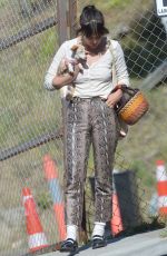 SCOUT WILLIS Out for Grocery Shopping at Erewhon Market in Los Angeles 03/30/2024