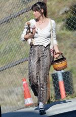 SCOUT WILLIS Out for Grocery Shopping at Erewhon Market in Los Angeles 03/30/2024