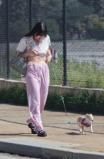 SCOUT WILLIS Out with Her Dog in Los Angeles 03/08/2024
