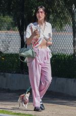SCOUT WILLIS Out with Her Dog in Los Angeles 03/08/2024
