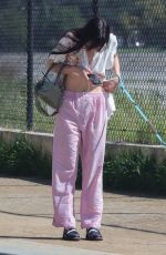 SCOUT WILLIS Out with Her Dog in Los Angeles 03/08/2024