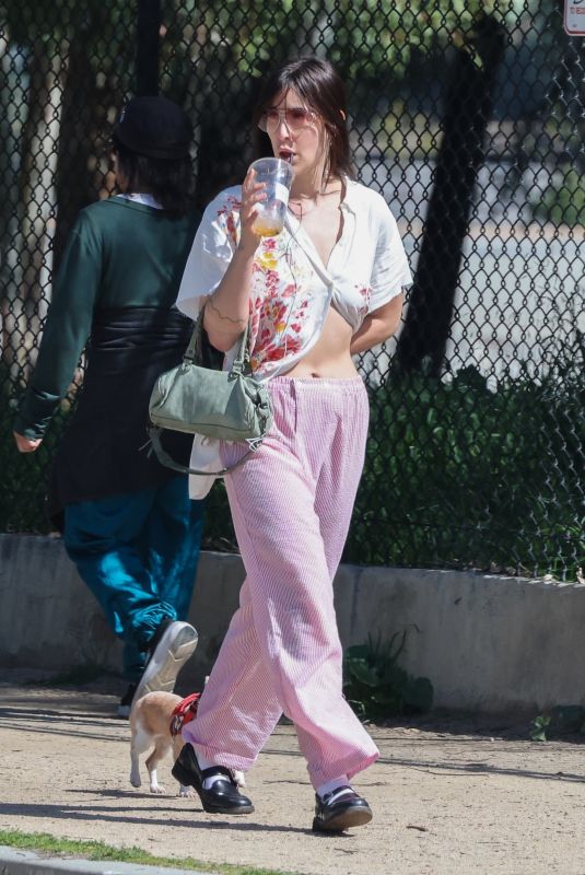 SCOUT WILLIS Out with Her Dog in Los Angeles 03/08/2024