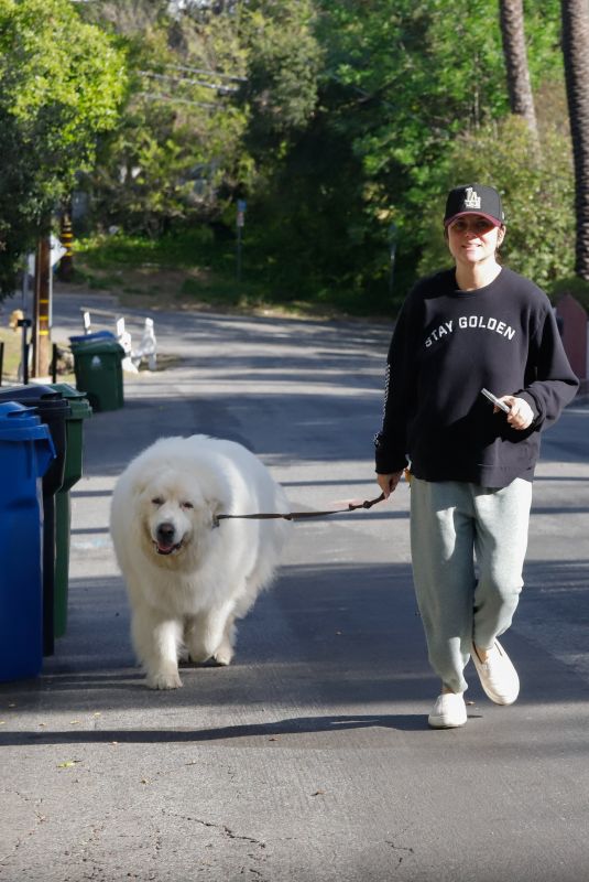 TIFFANI THISESSEN Out with Her Dog in Los Angeles 03/13/2024