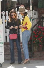 BROOKE BURKE Out for Lunch with Friends in Marina Del Rey 04/24/2024