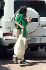 CARA SANTANA Arrives at a Private Party in Palm Springs 04/12/2024